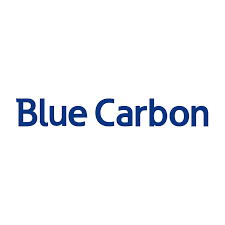 Blue Carbon