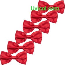 6pcs Children BOW Red Tie
