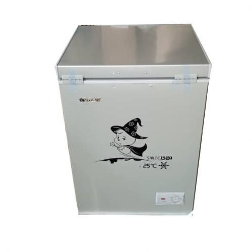 Snowsea Chest Freezer BD-158-G